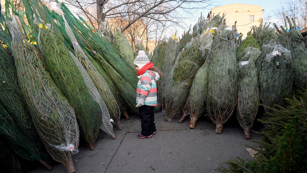 Елочный базар