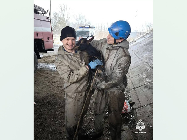 Козу спасли под Восточным мостом в Твери