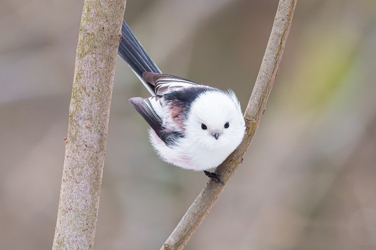 Фото: Станислав Крутоверцев