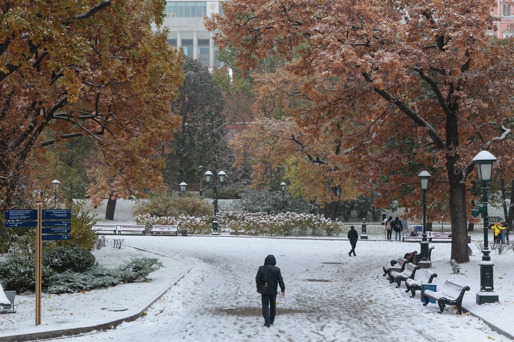    Фото © Ярослав Чингаев / АГН «Москва»