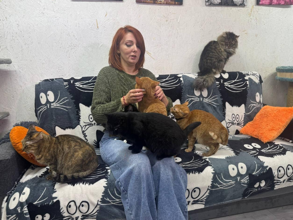    Фото: администрация г.о. Подольск