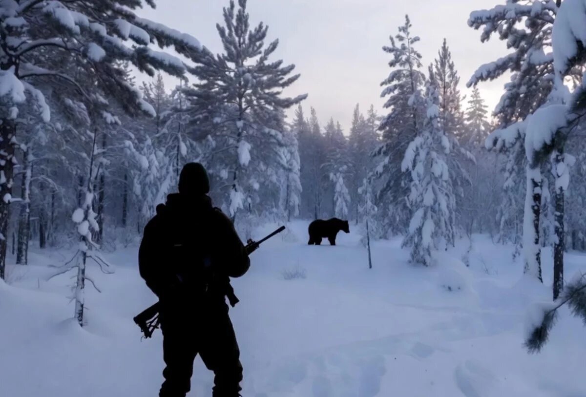    Загрыз медведь?