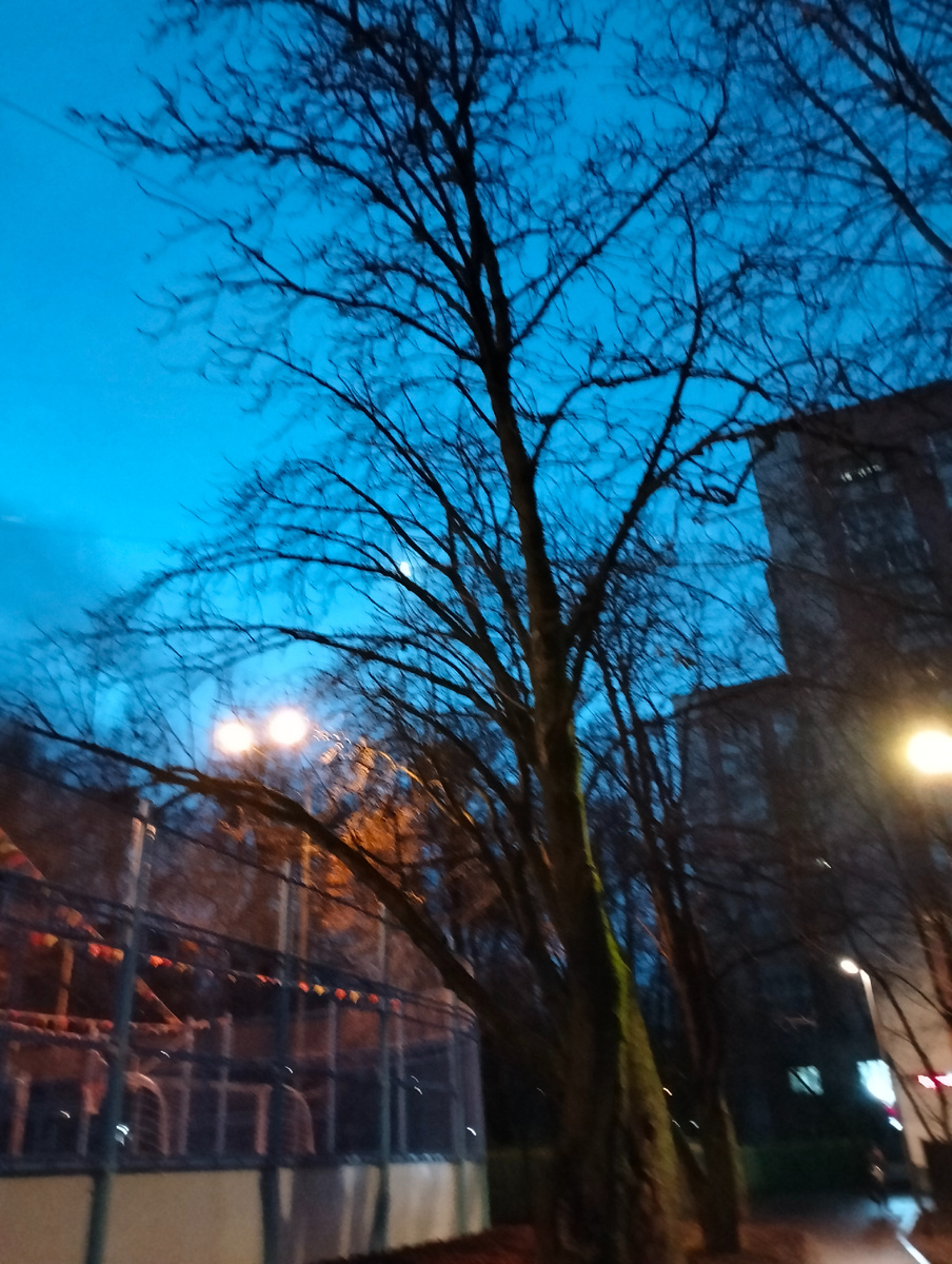 Синее утро 12 декабря 2025