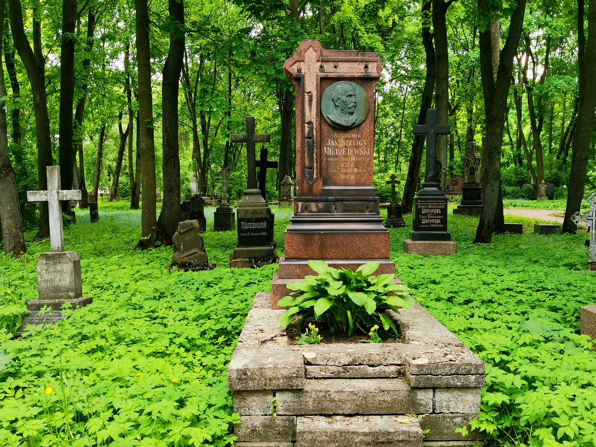 Могила врача и исследователя Мержеевского И.П. Фото автора.