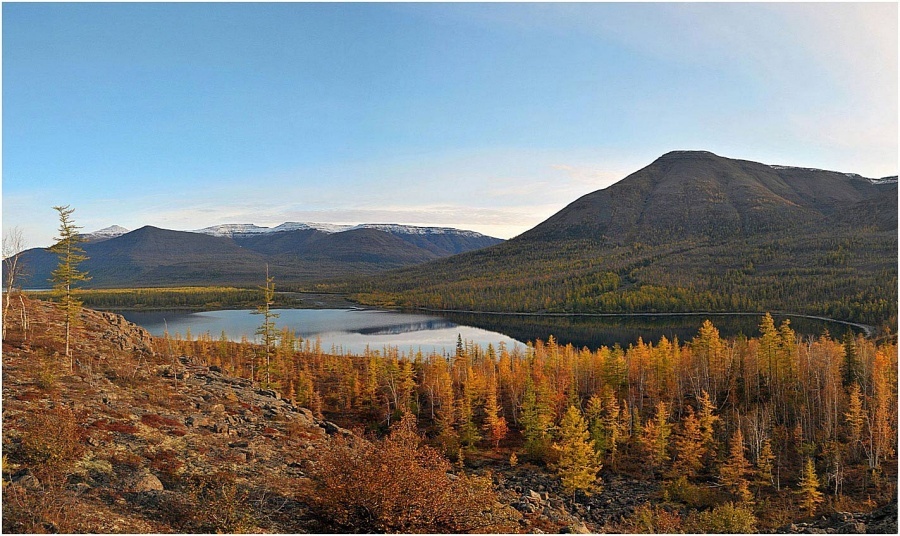 Открытый источник Яндекса.