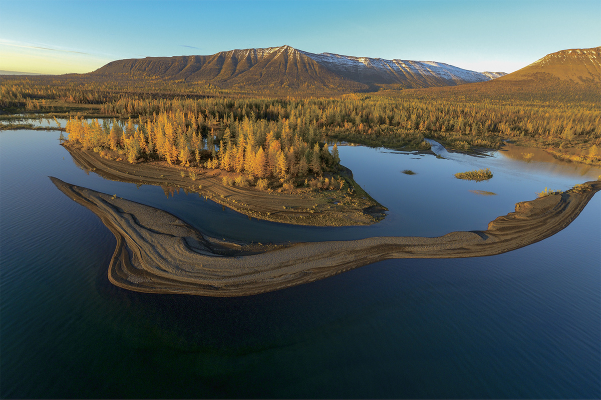 Открытый источник Яндекса