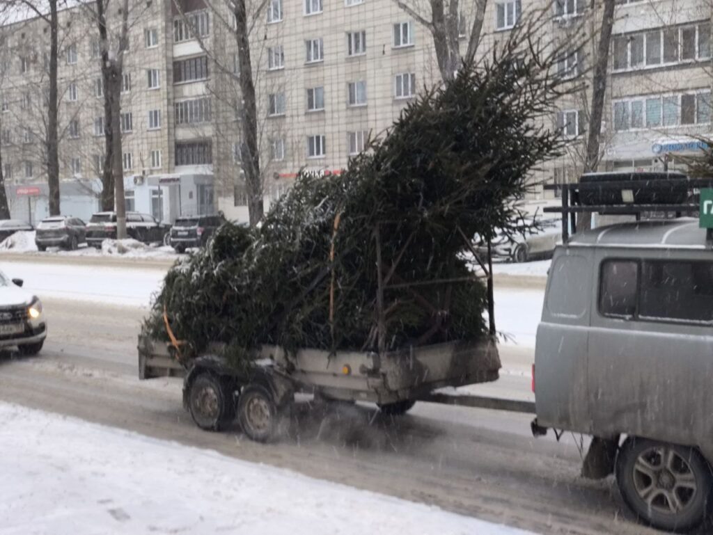    Фото: В курсе.ру Полина Анкушина