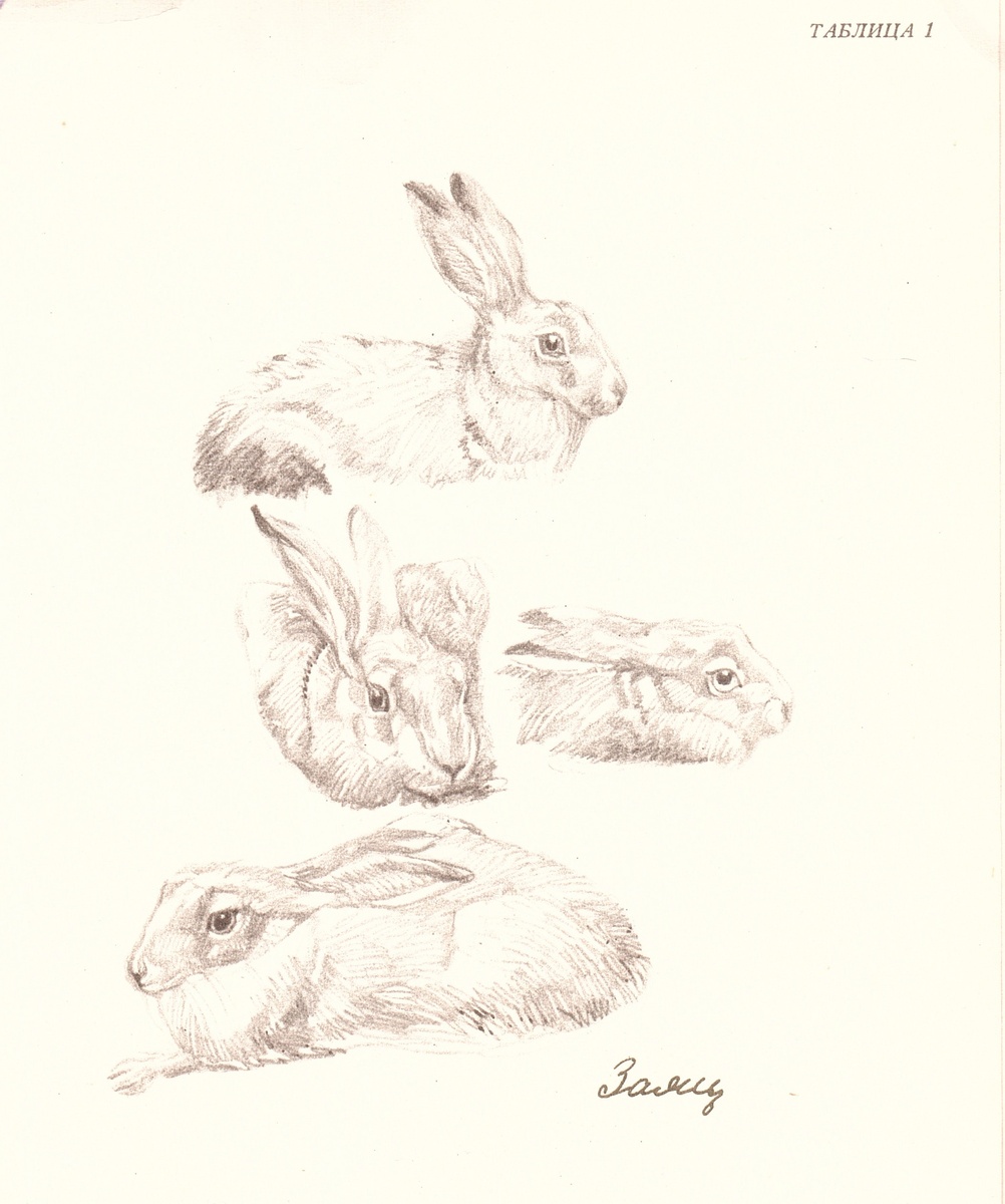 Автор всех работ - Ян Соколовский