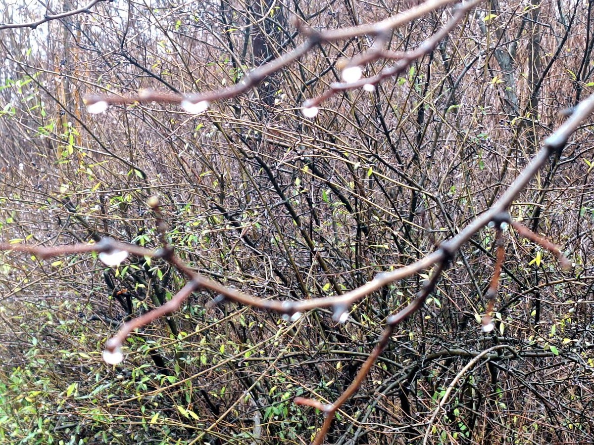 Время стихов.Фото автора.