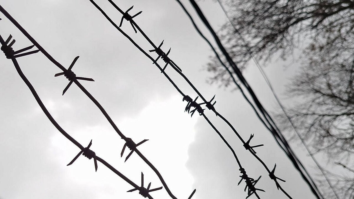    Фото: телеканал «Краснодар»