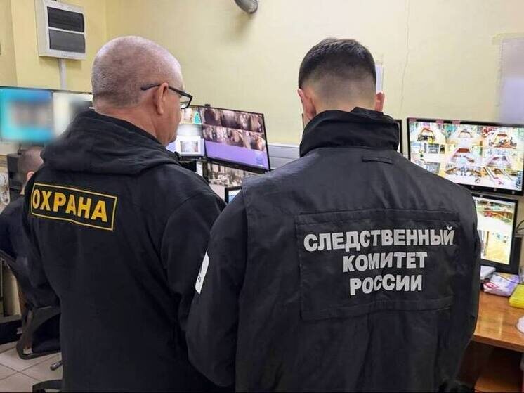     Фото: СУ СК по Саратовской области