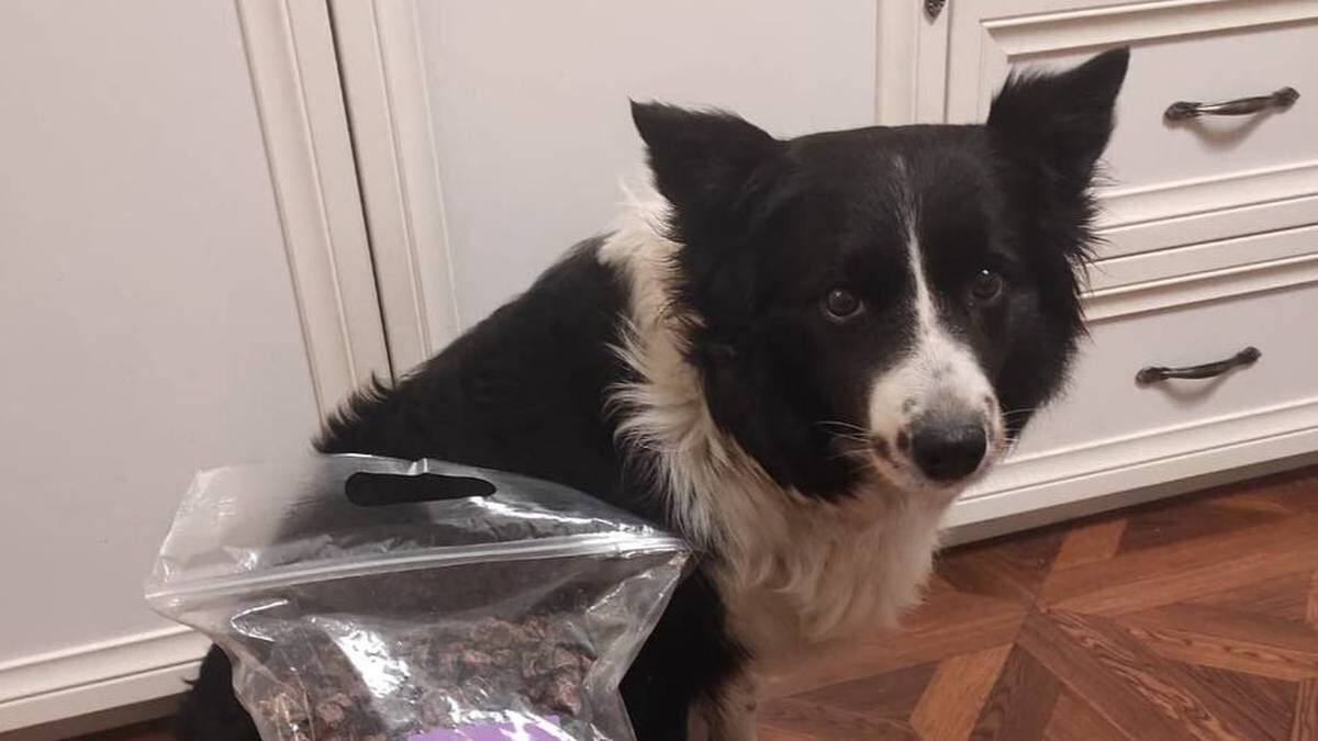    Фото: Очевидцы