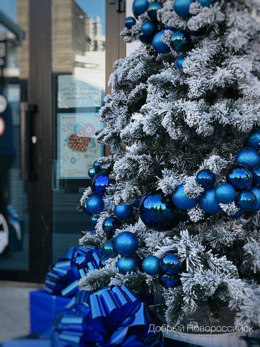 Новороссийск.