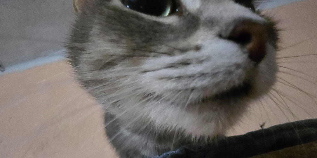 Родители на расстоянии. Больше никого