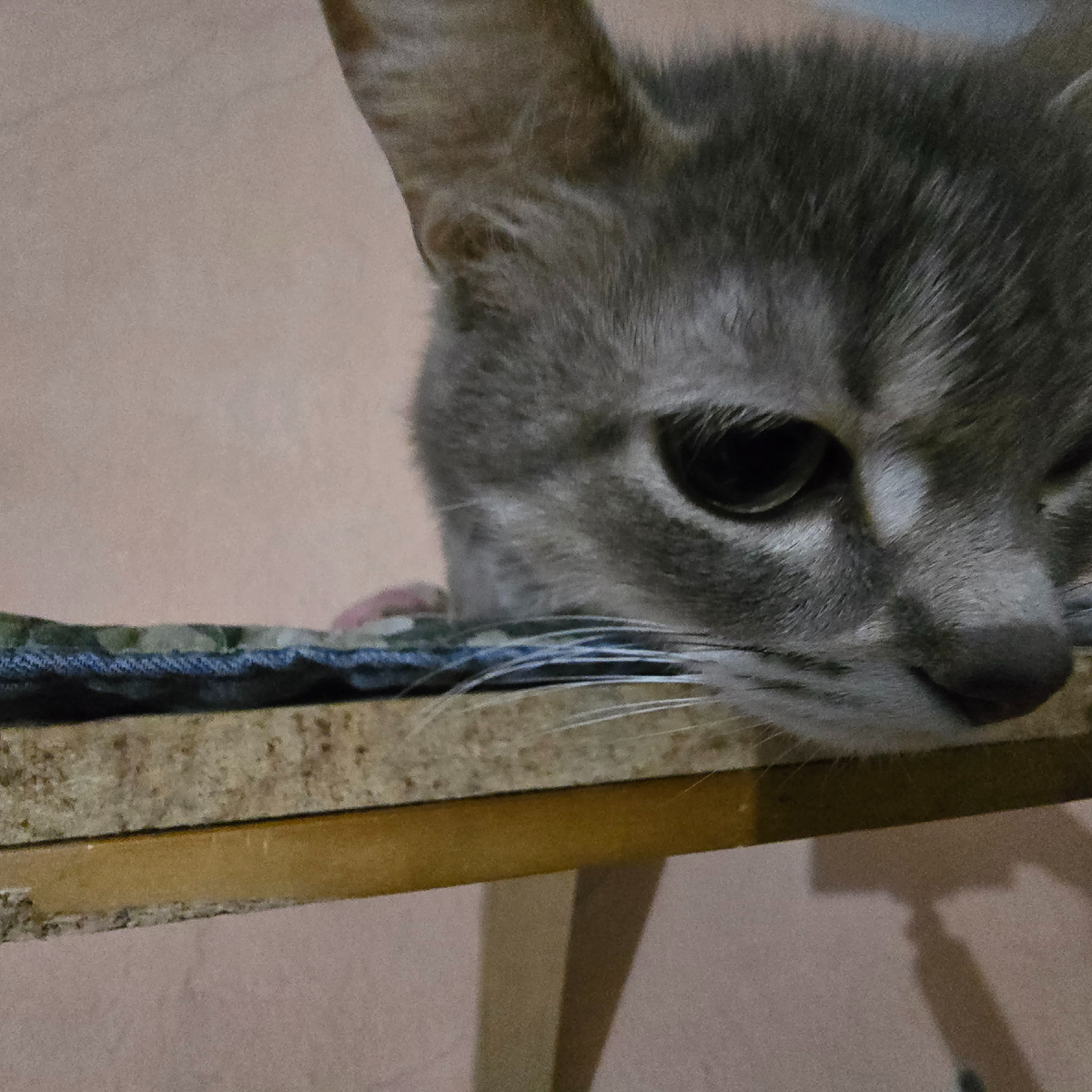 прячется под взглядом но хочет быть замеченной