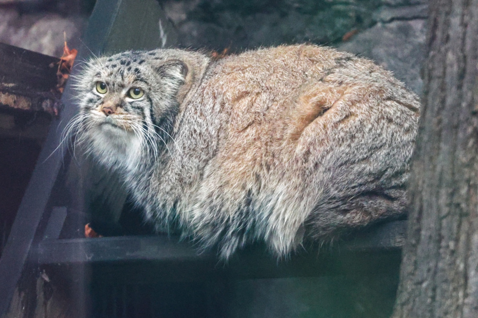    Наталья Шатохина/NEWS.ru