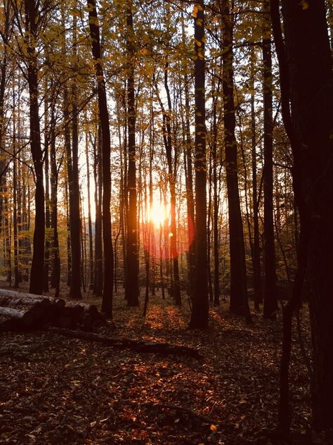 картинка из интнрнета