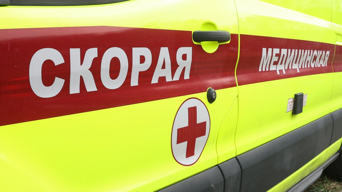    Фото: Petrov Sergey/globallookpress.com