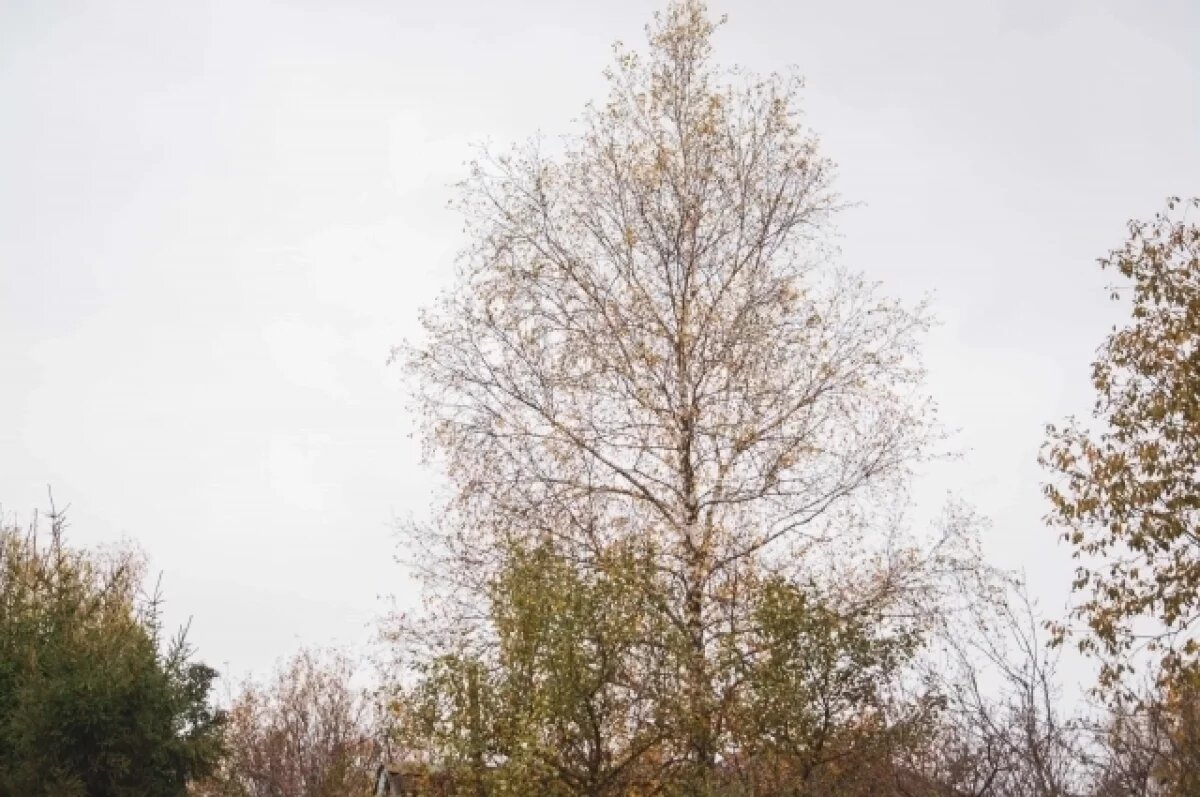    На западе Тульской области выпало аномальное количество осадков