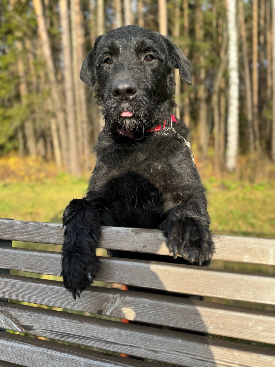 Помогите мне, пожалуйста, снова оказаться дома...