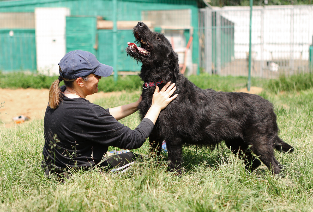 Такой больше нет