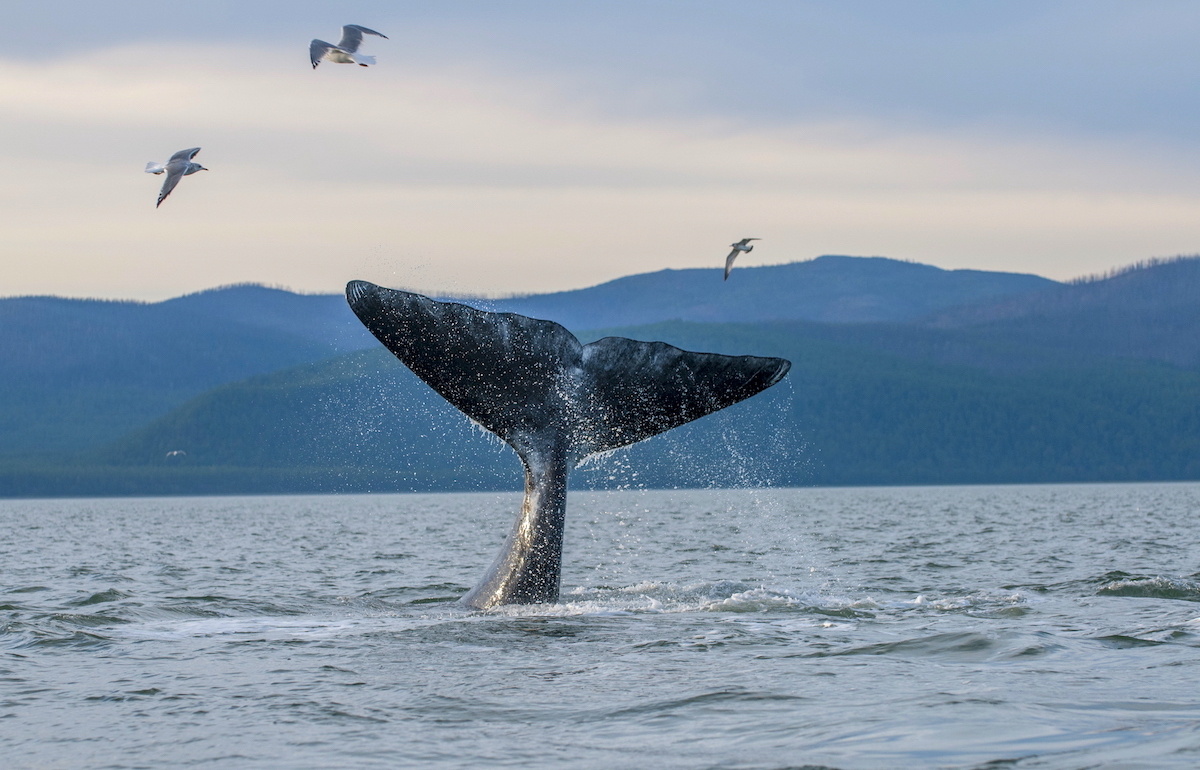 Фото: Ольга Шпак / GeoPhoto