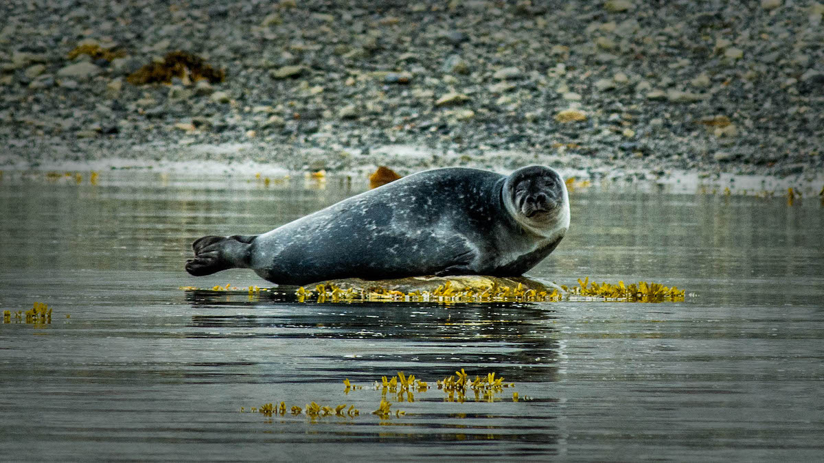 Фото: Александр Романовский / Фотобанк ПОРА