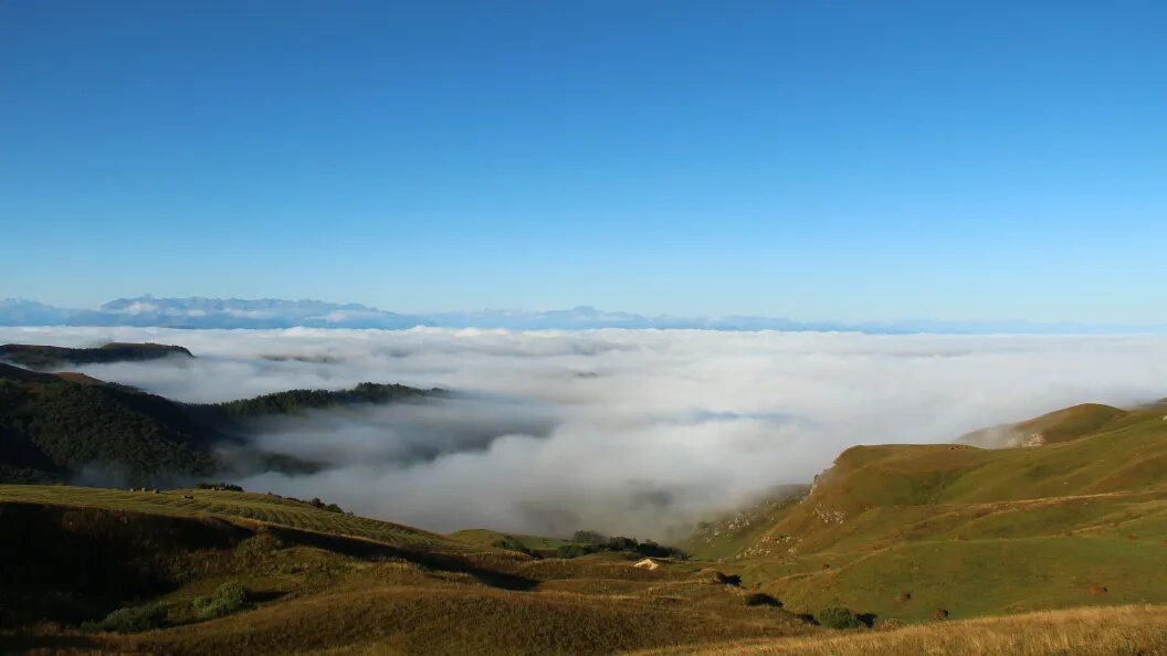    Фото: царьград/олег рукавицын.