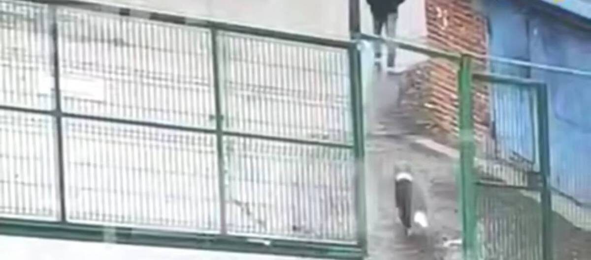    Фото: скриншот видео / Shot / Telegram