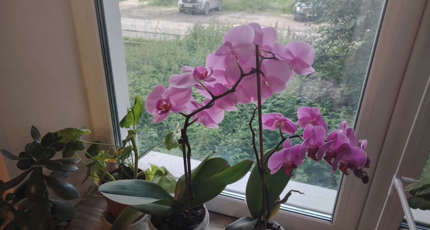    фото из архива редакции