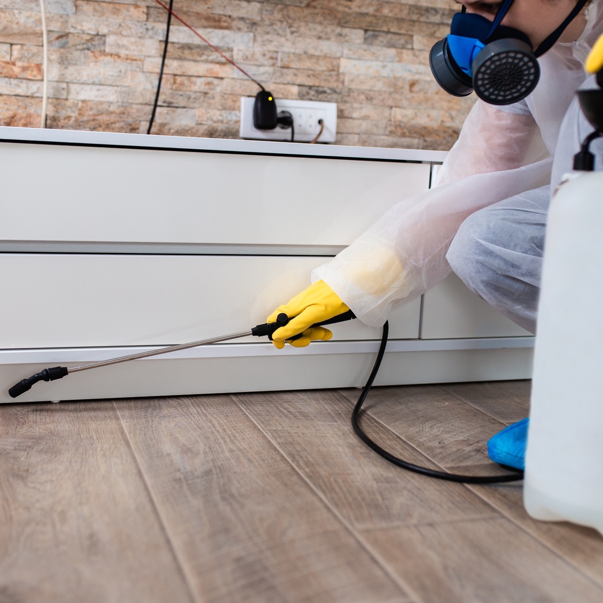 Иллюстрация с фотостока stock.adobe.com/ru/free, бесплатная лицензия