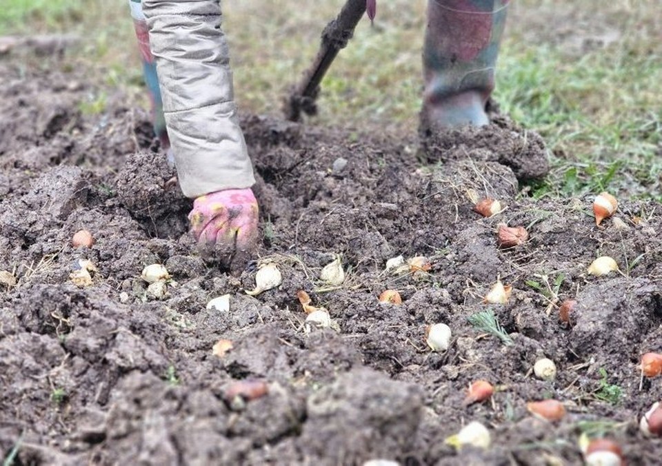    Новые краски наполнят город уже весной. Фото: sev.gov.ru