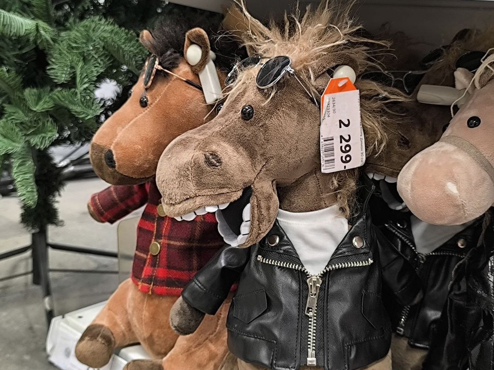    Кони нынче дорогие... Анна ТЕЛЫШЕВА