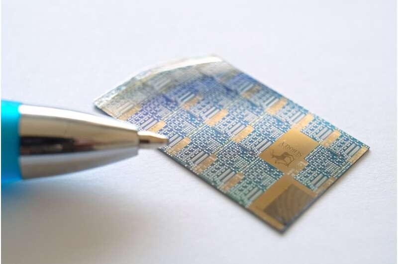 Учёные обнаружили, что «ограничение конструкции» органических транзисторов повышает их стабильность