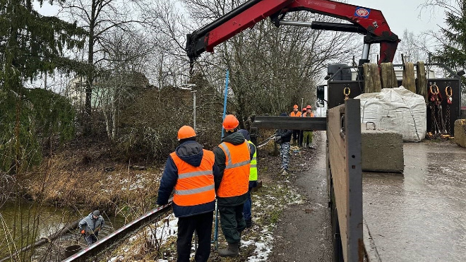 Фото: Комитет по природным ресурсам Ленинградской области