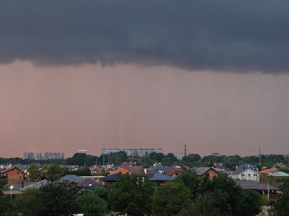    Фото: Юрий Серебренников/BFM Кубань
