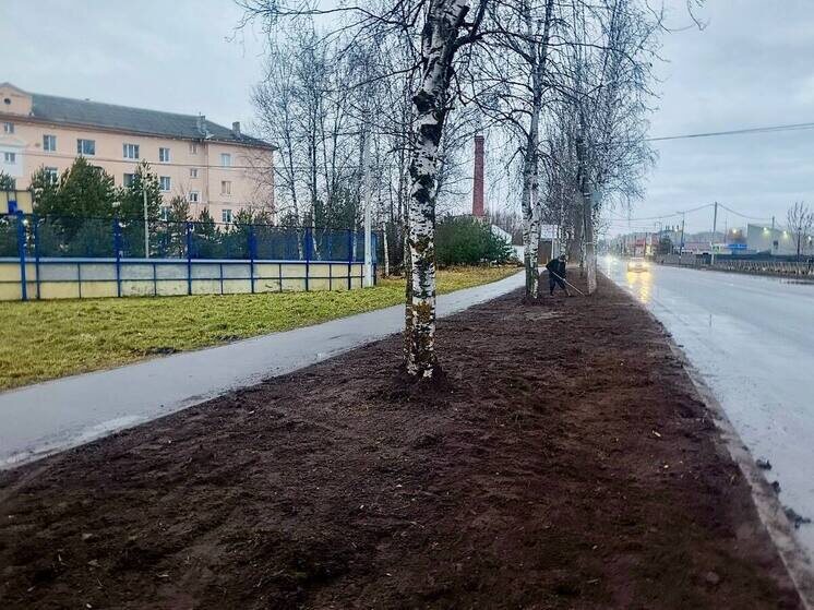     Рабочие убрали вдоль дороги земляные валы, создав эстетичный вид территории. Фото: telegram-канал главы Старорусского муниципального округа Елены Комаровой