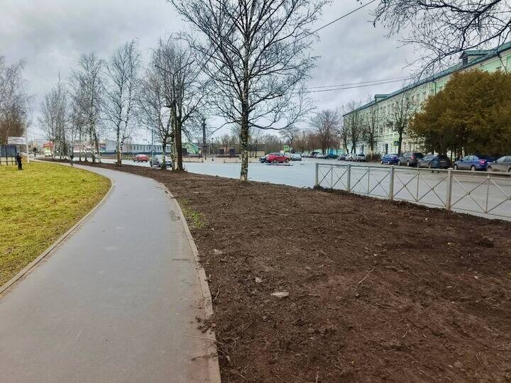     Фото: telegram-канал главы Старорусского муниципального округа Елены Комаровой