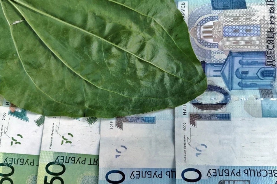    В Минске 78-летняя женщина согласилась переоформить пенсию и потеряла крупную сумму денег. Снимок носит иллюстративный характер. Фото: архив «КП»