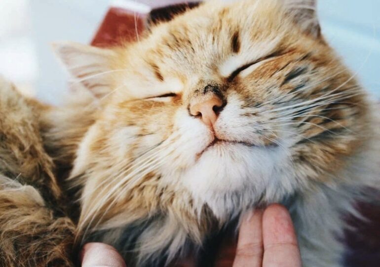 Фото: Самара-ГИС