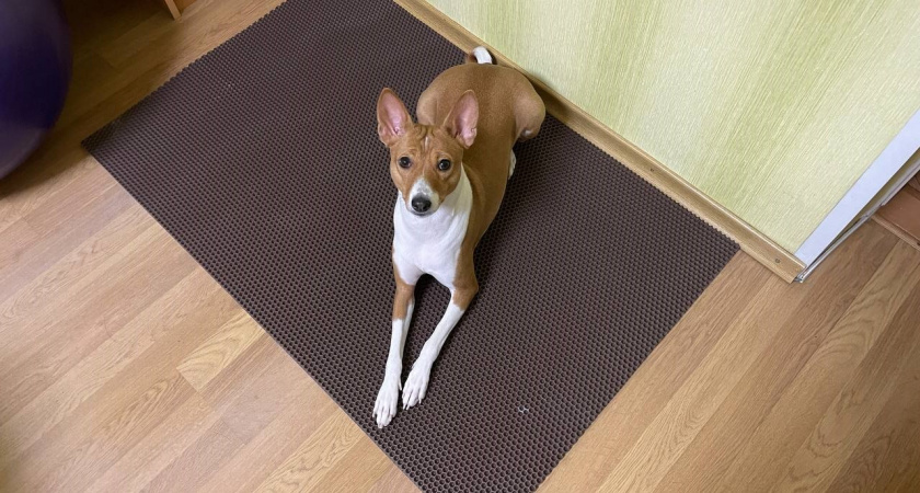    Автор фото - Анна Ефимова