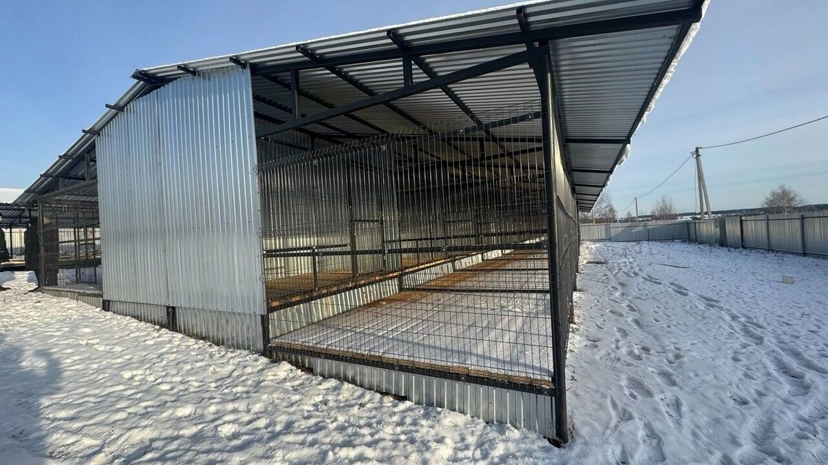     Источник: пресс-служба главы и правительства Удмуртии