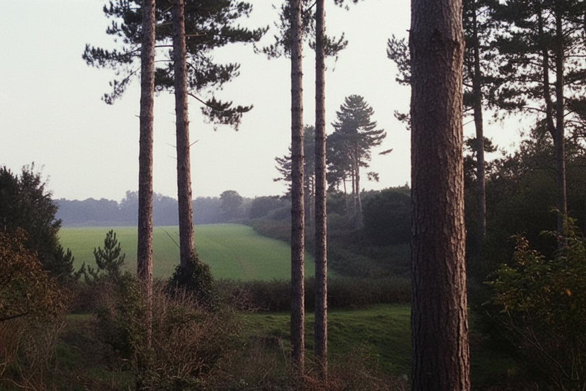 Предполагаемое место посадки.