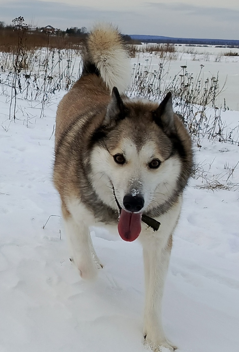Разве скажешь, что  столько пришлось ей пережить?!
