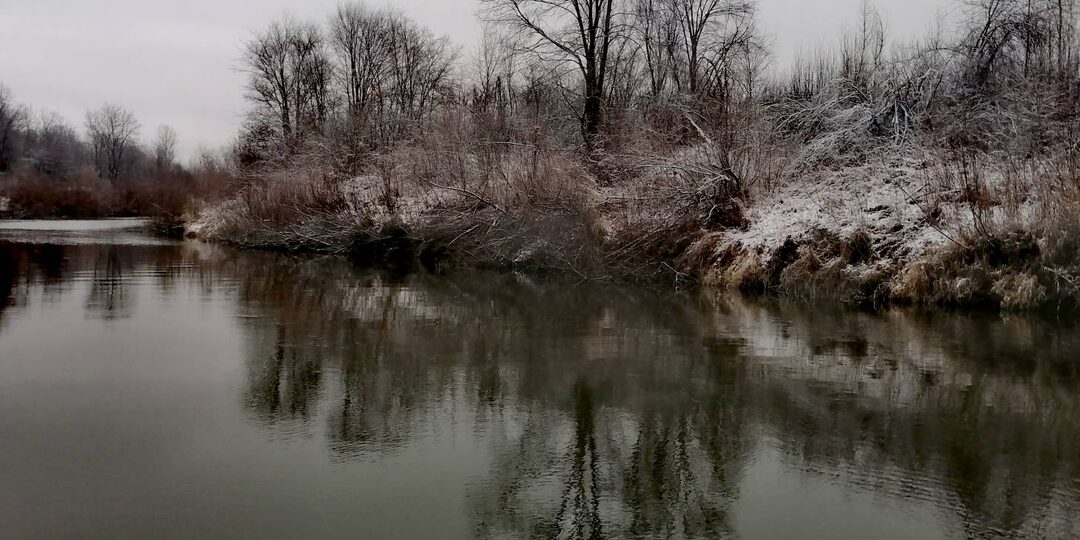 Декабрьский жерех на очередном «закрытии»