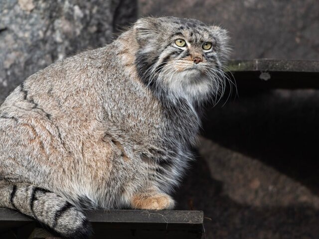    Фото: портал мэра и правительства Москвы/Дарья Мясина