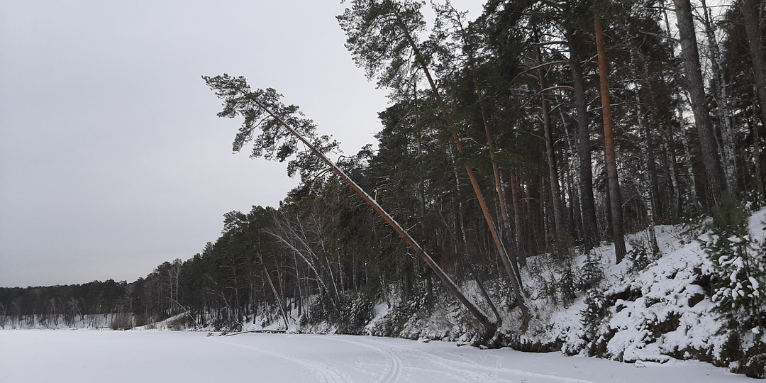 Пенсионер, вставай на лыжи! Открываю лыжный сезон