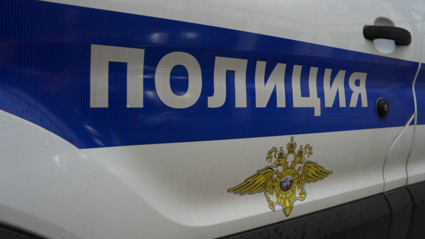    Фото: ИЗВЕСТИЯ/Дмитрий Коротаев