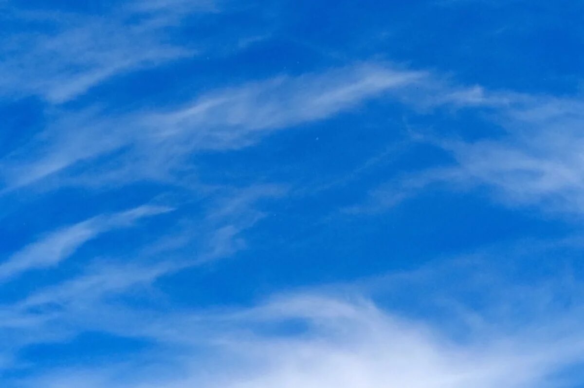    В Тульской области в День Конституции уничтожили ещё 8 беспилотников