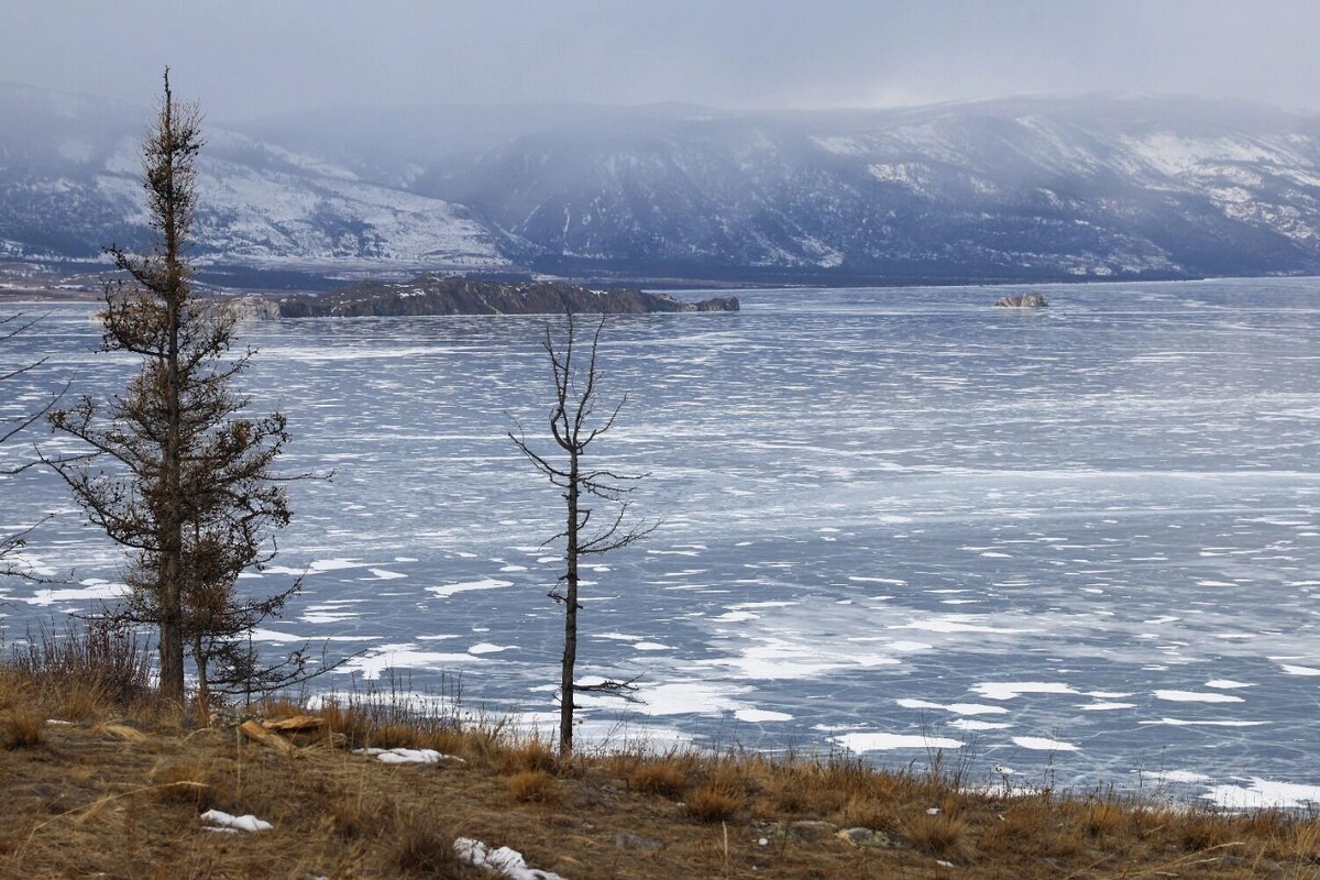 Лесовосстановление — это не сохранение экосистемы. Фото: Александр Рюмин/ТАСС